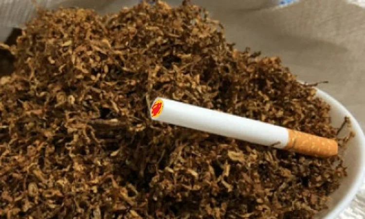 Тютюн табак табачок тютюнець куриво - фото № 1