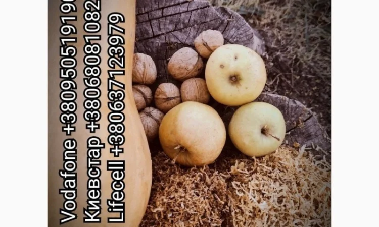 ПРОДАМ ЧИСТЫЙ ТАБАК для сигарет 1 кг : Вирджиния /Берли /Миллениум /Мальборо - фото № 2