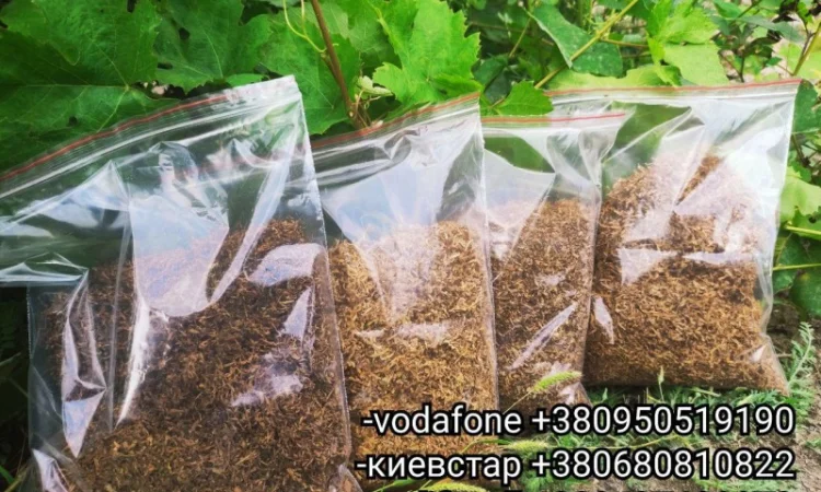 ПРОДАМ ЧИСТЫЙ ТАБАК для сигарет 1 кг : Вирджиния /Берли /Миллениум /Мальборо - фото № 4