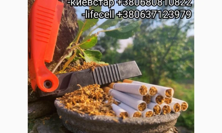 Ферментированый табак для сигарет 1 кг: Ориентал, Вирджиния Голд, Галицкий, Венгерский - фото № 1