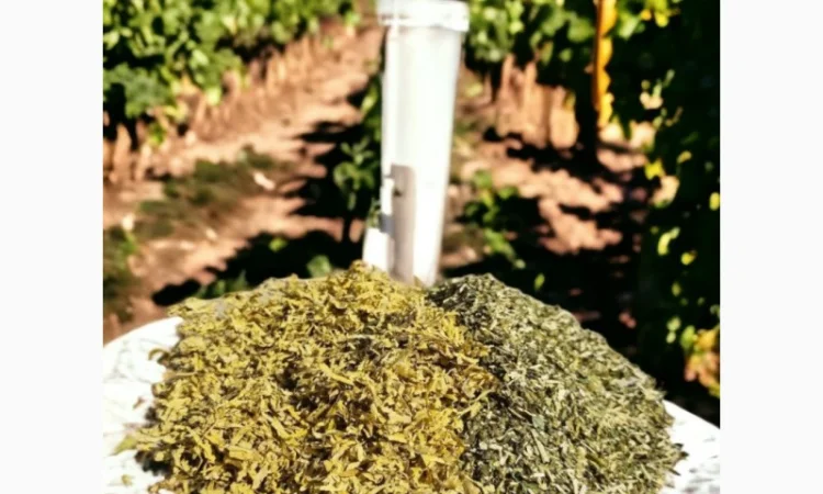 Продам табак Вирджиния, Берли для сигарет 1 кг , 350 грн - фото № 1