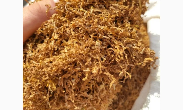 Продам: Берли, Микс, ДЮБЕК, Мальборо для трубки - фото № 7