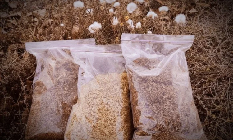 Табак Голд Желтый /Латакия /Галицкий для сигарет 1 кг - фото № 2