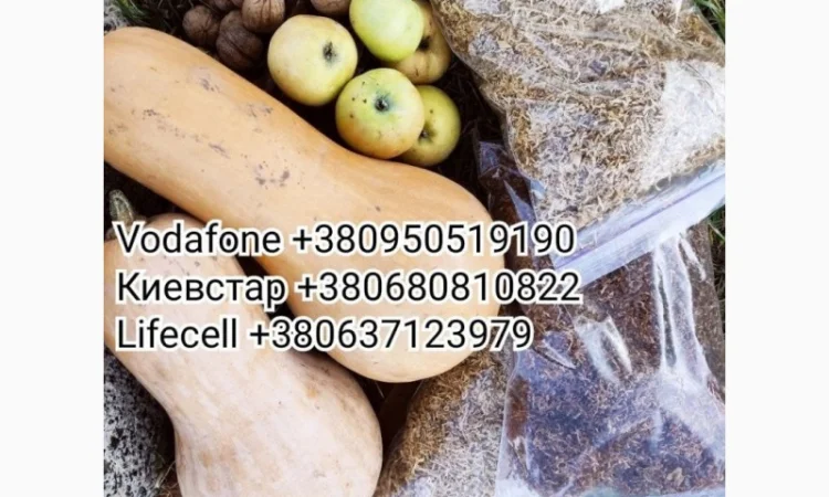 Табак - Вирджиния Голд, Капитан Блек, Мальборо, Кентуки, Винстон, Кемел, Бонд  для  самокруток - фото № 2