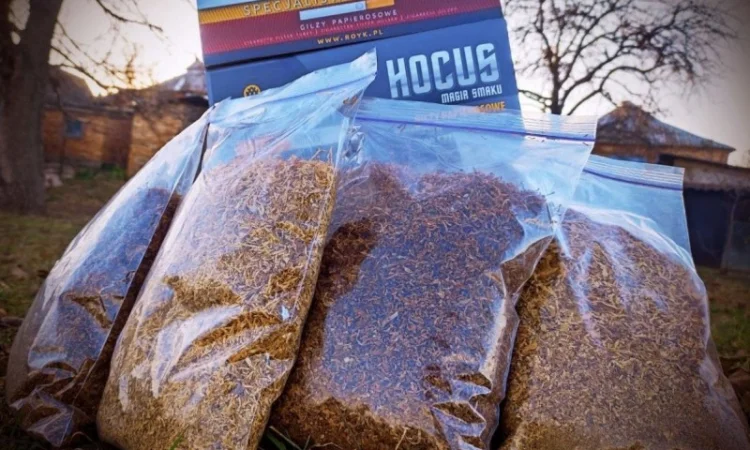 Якісний тютюн Winston, Вирджиния, Camel - фото № 1