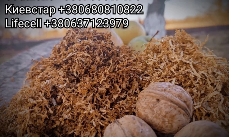 Якісний тютюн Winston, Вирджиния, Camel - фото № 2