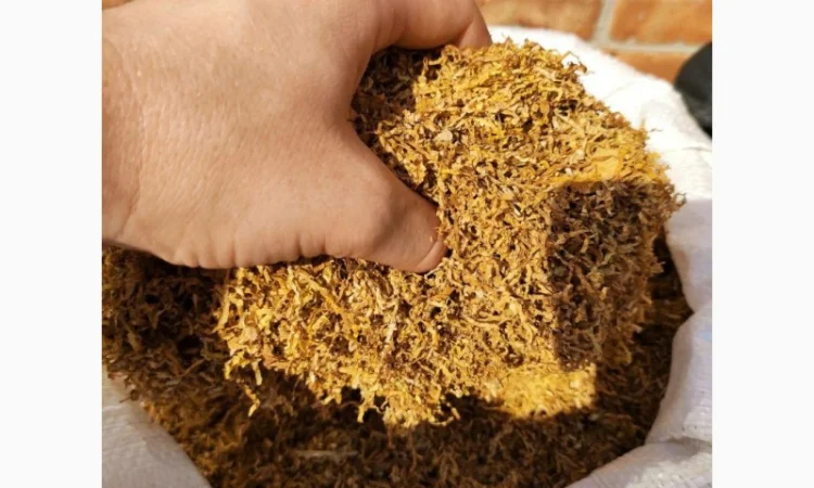 ИМПОРТНЫЕ ТАБАКИ Winston / Marlboro Camel / Virginia Gold - фото № 3