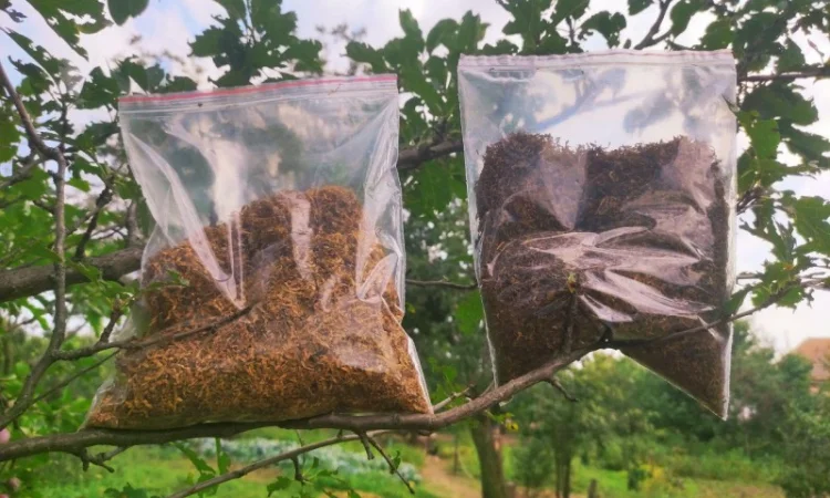 КАЧЕСТВЕННЫЙ ТАБАК: Вирджиния Голд. Фабричный. Винстон/Бонд/Мальборо/ ЛУЧШИЕ ЦЕНЫ - фото № 2