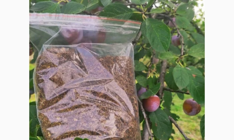 Дешевый импортный табак !!! Лучшего качества! Фабрика, лапша/ без мусора - фото № 1