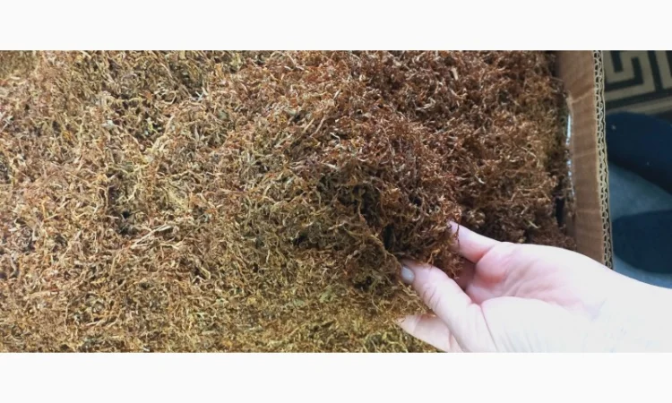 Продам тютюн  для сигарет 1 кг різаний сорт вірджинія - фото № 1