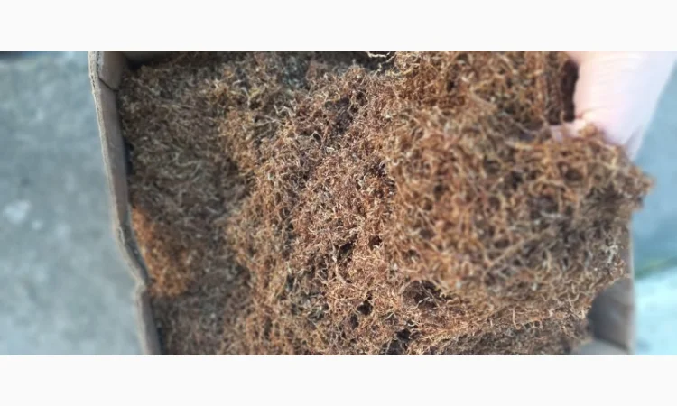 Продам тютюн Вірджинія для сигарет 1 кілограм - фото № 2