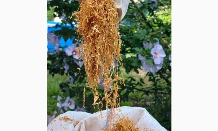 Шановні покупці, тільки першосортний тютюн для сигарет 1 кілограм - фото № 16