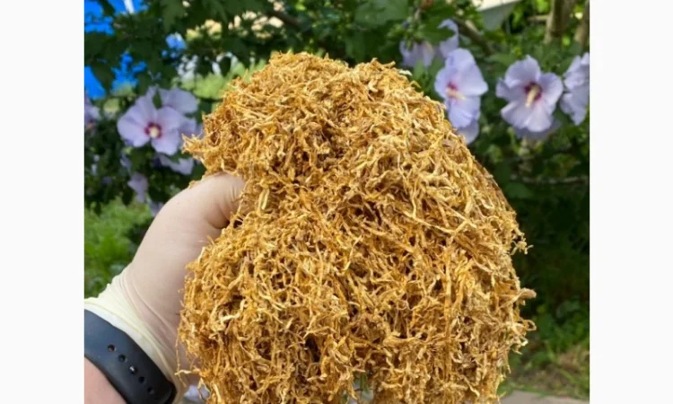 Шановні покупці, тільки першосортний тютюн для сигарет 1 кілограм - фото № 12