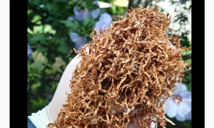 Шановні покупці, тільки першосортний тютюн для сигарет 1 кілограм - фото № 7