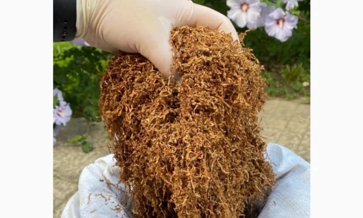 Преміум тютюн для куріння за доступними цінами - фото № 5