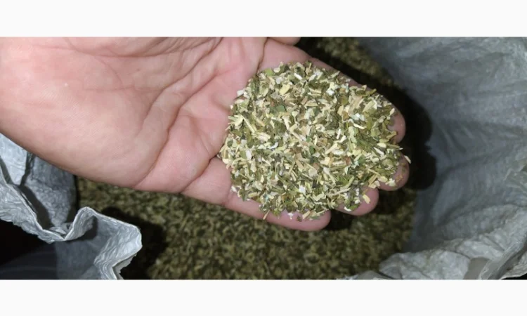 Продам хороший табак тютюн для сигарет 1 кг , махорку, самосад оптом( урожай 2024)Сновск, Чернигов - фото № 1