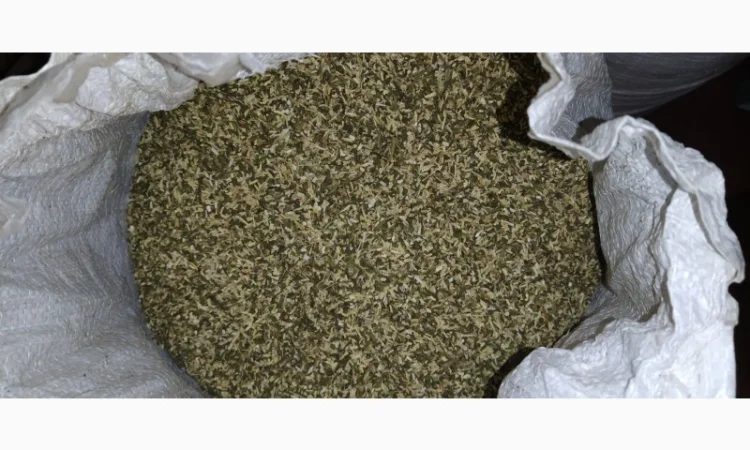 Продам хороший табак тютюн для сигарет 1 кг , махорку, самосад оптом( урожай 2024)Сновск, Чернигов - фото № 2