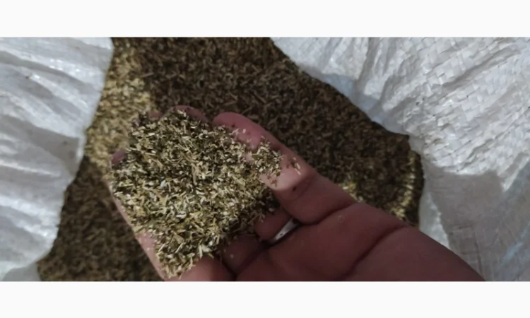 Продам хороший табак тютюн для сигарет 1 кг , махорку, самосад оптом( урожай 2024)Сновск, Чернигов - фото № 4