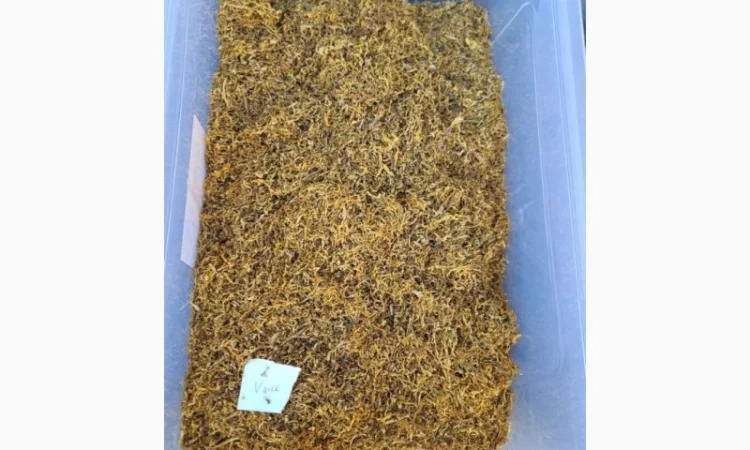 Самий кращий табак для сигарет 1 кг  для Вас Панове Вірджінія, Берлі, Мілєніум - фото № 4