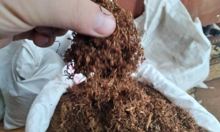 Табак для сигарет 1 кг не дорого від 450грн - фото № 3