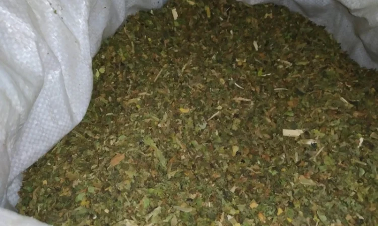 Табак для сигарет 1 кг не дорого від 450грн - фото № 4