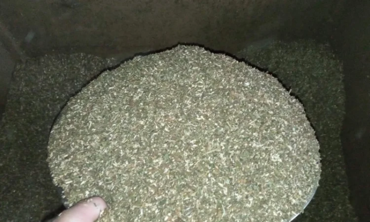 Тютюн лапша 0.4 мм  для самокруток і самосад сорт бакун - фото № 2