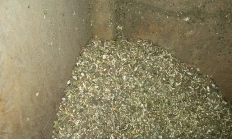 Тютюн лапша 0.4 мм  для самокруток і самосад сорт бакун - фото № 3