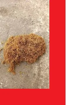 Шикарний табак для сигарет 1 кг,  свіженький ферментірований домашній Вищий сорт - фото № 1