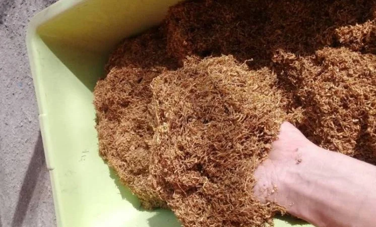 Запашний домашній крепкий тютюн для сигарет 1 кг - фото № 1