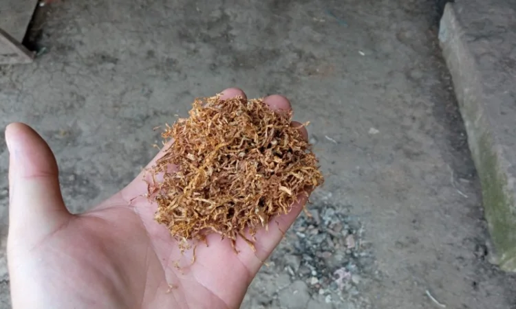 Тютюн для трубки  ВІРДЖІНІЯ, БЕРЛІ домашні табаки порізка 0.3-.0.4 мм - фото № 1