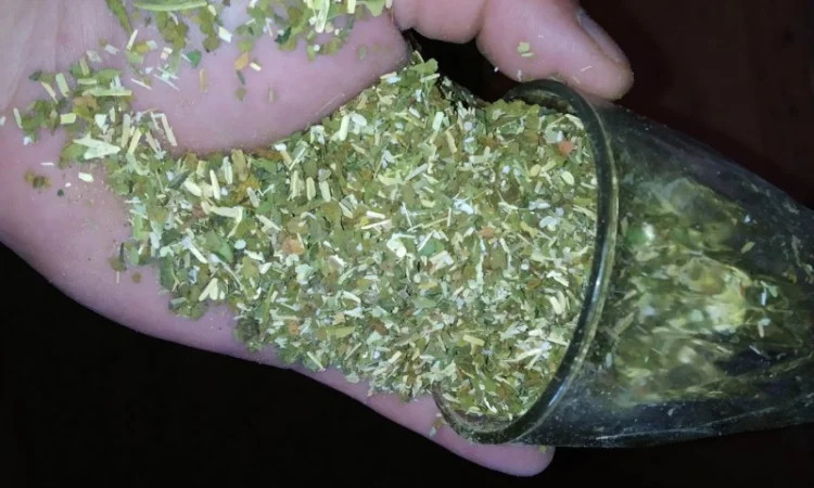 Файний САМОСАД не прілий для трубки - фото № 2