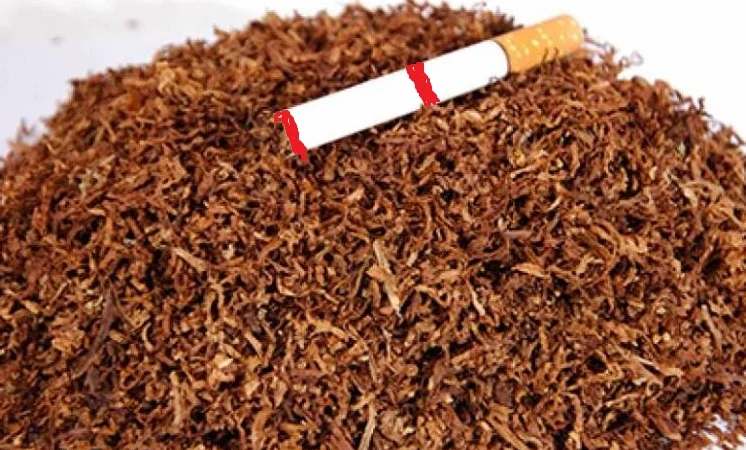 Хароший табак для трубки  свіженький ферментірований домашній - фото № 1