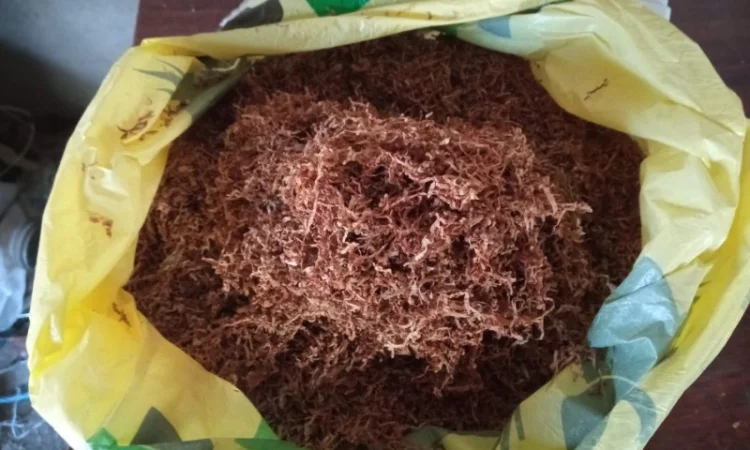 Ще є МАХОРКА  для трубки і тютюн домашній качество на висоті - фото № 2