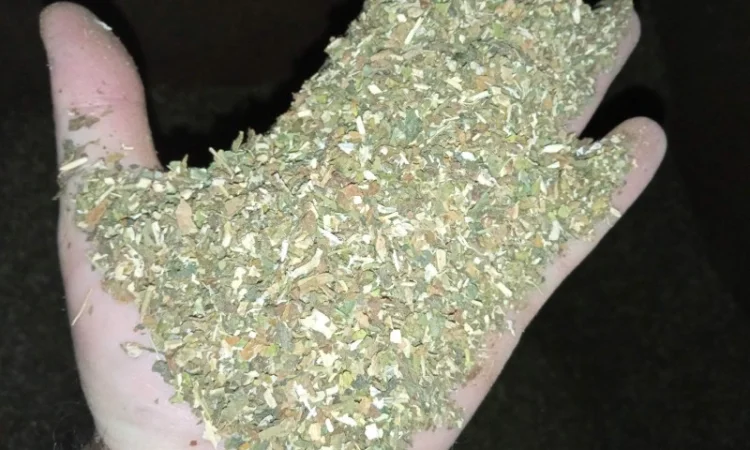 МАХОРКА і тютюн домашній ТАБАК для трубки  качество на висоті кому треба то звоніть - фото № 1