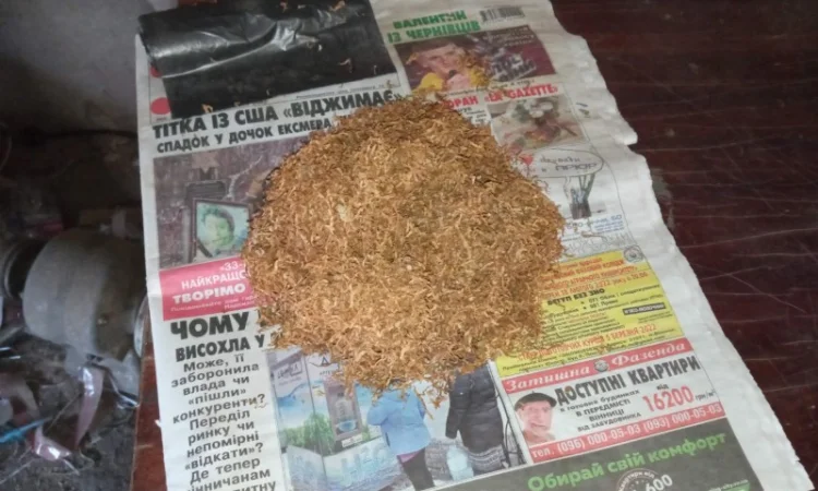 МАХОРКА і тютюн домашній ТАБАК для трубки  качество на висоті кому треба то звоніть - фото № 3