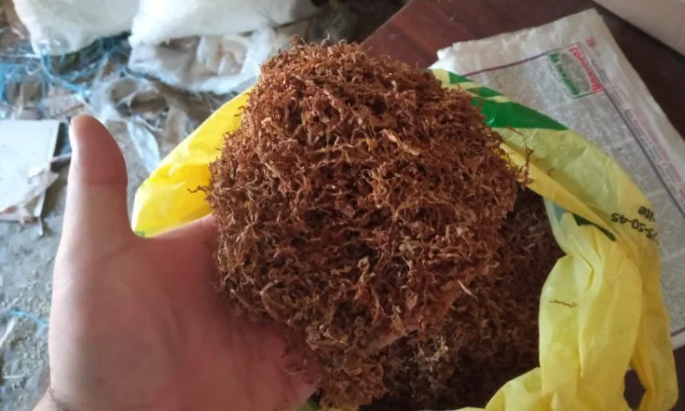 Продам хароший табачок для трубки Вірджінія, Берлі, ферментірований не смирдить - фото № 1