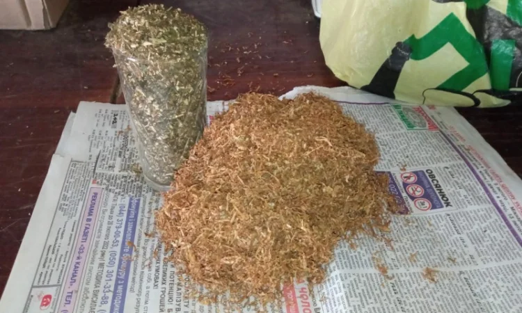 Самосад хароший для трубки  і тютюн берлі для сосіда - фото № 1