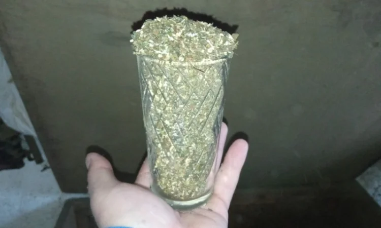 Самосад хароший для трубки  і тютюн берлі для сосіда - фото № 3