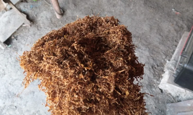 Махорка для трубки  і Вірджінія ще є - фото № 3