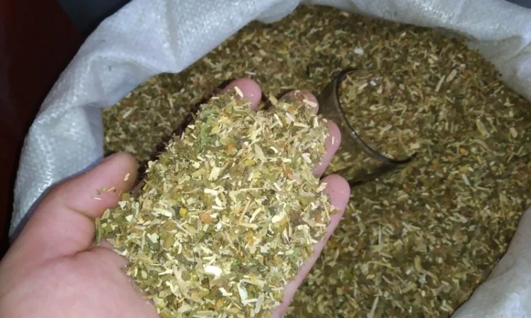 Гарний запашний Табак, Вірджінія берлі дюбек мілєніум - фото № 5