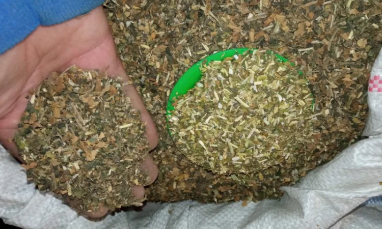 Мілєніум табак  для  сигарет 1 кг,  домаашній без домішок - фото № 5