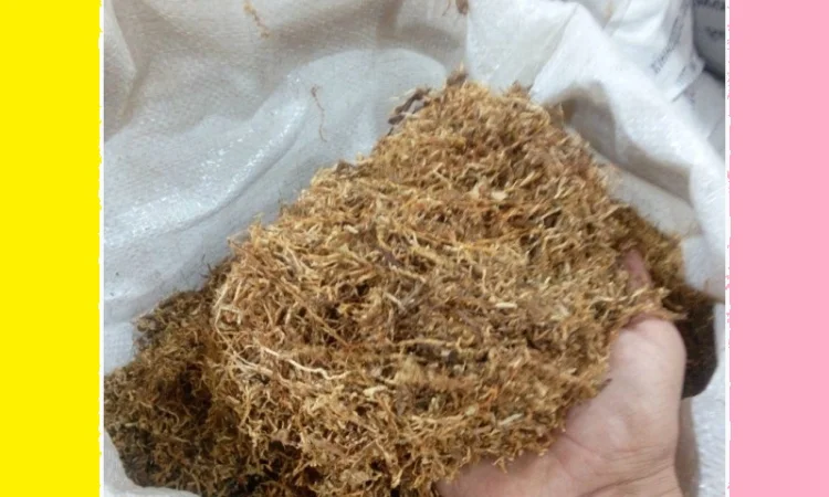 Самі домашні табаки для трубки з відбірного листа - фото № 1