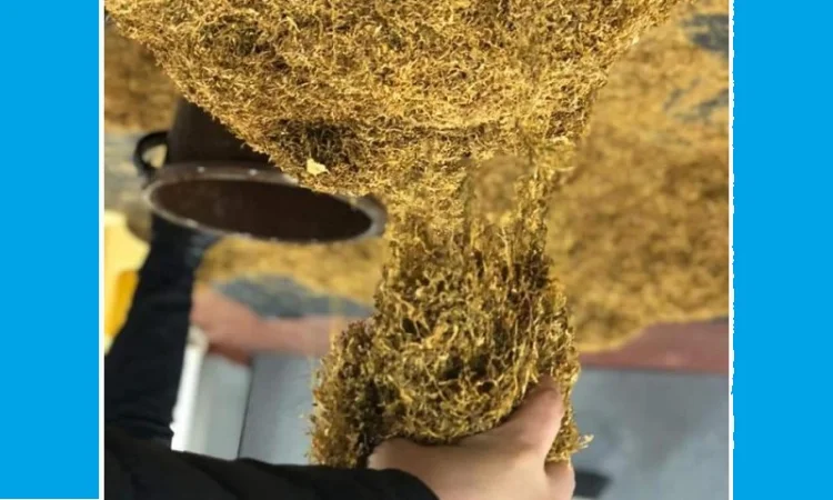 Табак для сигарет 1 кг домашній порізка сігаретна і махорка свіжа отлічна - фото № 1