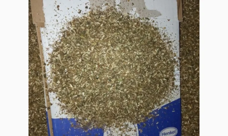 Табак для сигарет 1 кг домашній порізка сігаретна і махорка свіжа отлічна - фото № 4