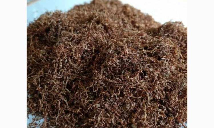 Тютюни для сигарет 1 кг домашні ферментовані не прілі сухі - фото № 2