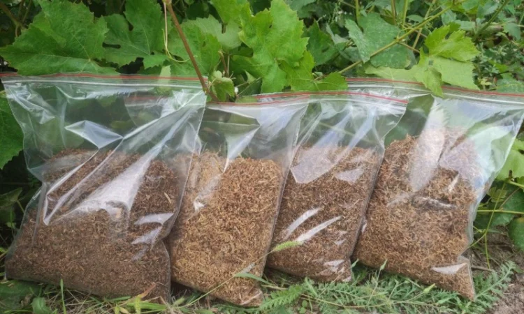 Табак, тютюн для самокруток  і аксесуари - фото № 3