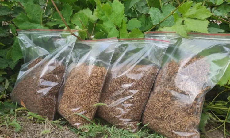 Тютюн високої якості для сигарет 1 кг - фото № 4