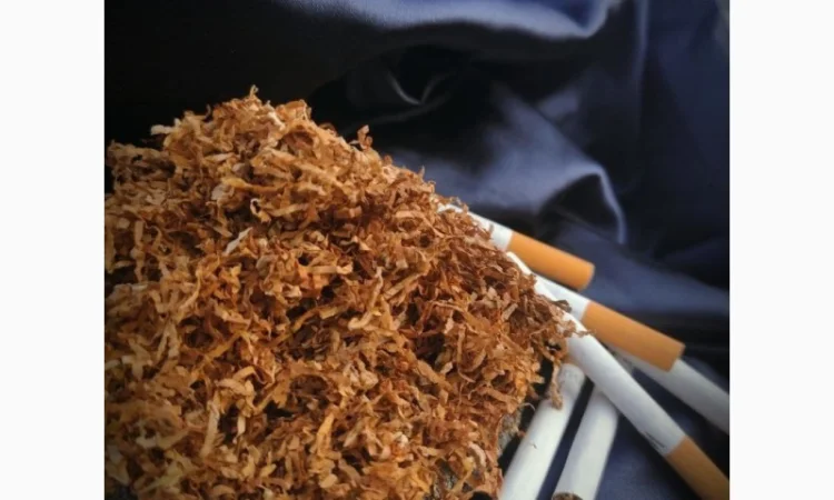 Вірджинія, Самосад, Берлі, тютюн, табак для сигарет 1 кілограм - фото № 2