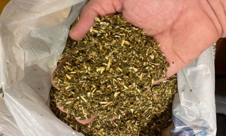 Продам махорку  для  самокруток - фото № 1