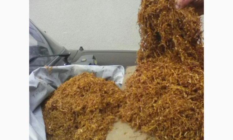 Продам импортный табак VIRGINIA GOLD, Венгерский - фото № 1